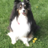 Entry image for Lucy