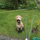 Entry image for Murphy