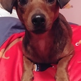 Entry image for Tinka