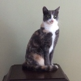 Entry image for Mila