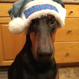 Entry image for Vinnie