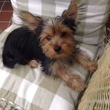 Entry image for Maui