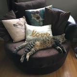 Entry image for Lilo