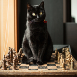 Entry image for Lucy