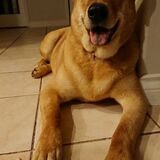 Entry image for Wally