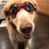 Entry image for Spencer