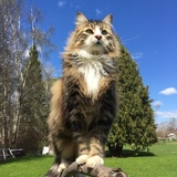 Entry image for Tuesday