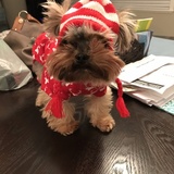 Entry image for Harley