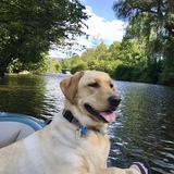 Entry image for Emma