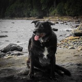 Entry image for Maya