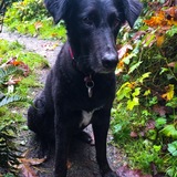 Entry image for BOOTSEY B