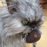 Entry image for Kramer