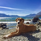 Entry image for Zoey