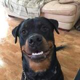 Entry image for Onyxia