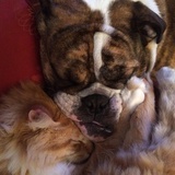 Entry image for Astro & Jimmy