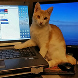 Entry image for Emmie