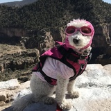 Entry image for Abby