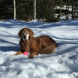 Entry image for Jake