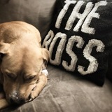 Entry image for Boss Cousins