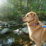 Entry image for Bella