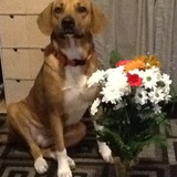 Entry image for Camilla (Cammy)