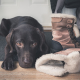 Entry image for Gryffin