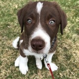 Entry image for Murphy