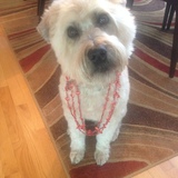 Entry image for Zack