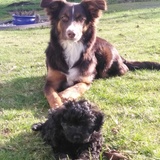 Entry image for Cernunnos