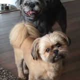 Entry image for Daisy and Theo 