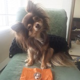 Entry image for Tika