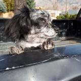 Entry image for Marbles 