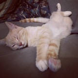 Entry image for Hurley