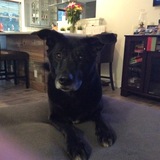 Entry image for Reef