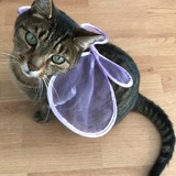 Entry image for George