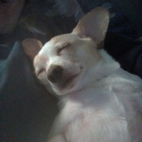 Entry image for Liam