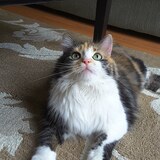 Entry image for Richard