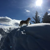 Entry image for Boone