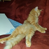 Entry image for Andrew 