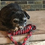 Entry image for Molly