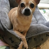 Entry image for Monty