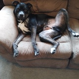 Entry image for Loki