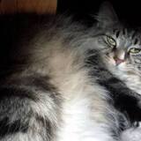 Entry image for Maddie