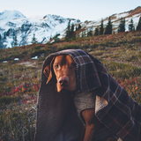 Entry image for Heulyn