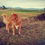 Entry image for Tipper