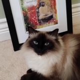 Entry image for Lily