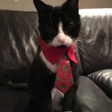 Entry image for Chloe