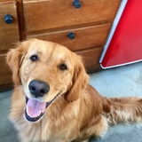 Entry image for Cleo