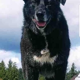 Entry image for Connor