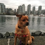 Entry image for Breezy